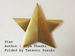 Photo Origami Star, Author : Koya ohashi, Folded by Tatsuto Suzuki